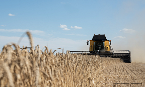 On the role of the EU in ensuring global food security On the role of the EU in ensuring global food security